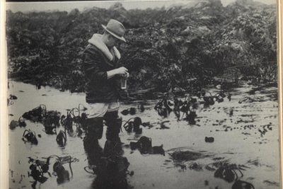 Doc Ed Ricketts in waders with Kelp